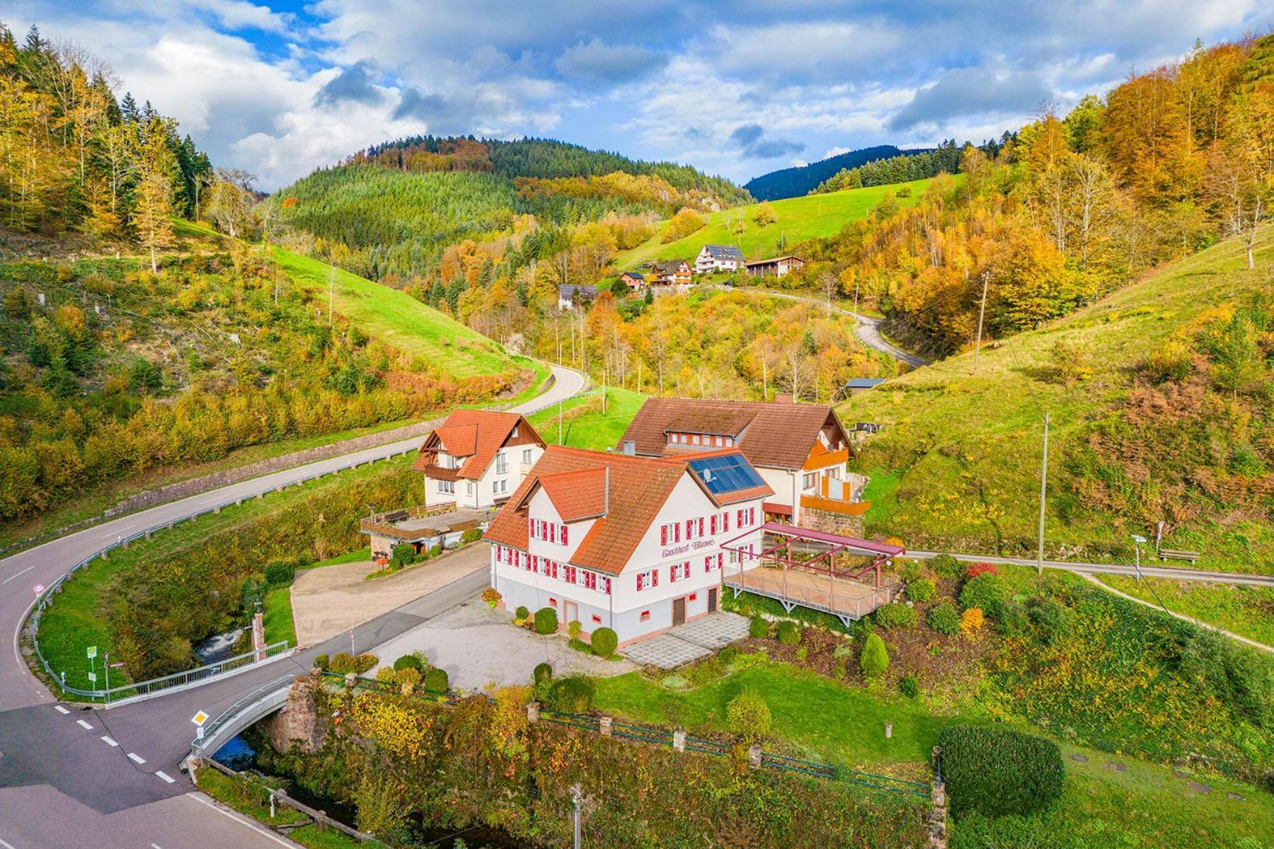 Hotel - Gasthof Blume Oppenau Extérieur photo