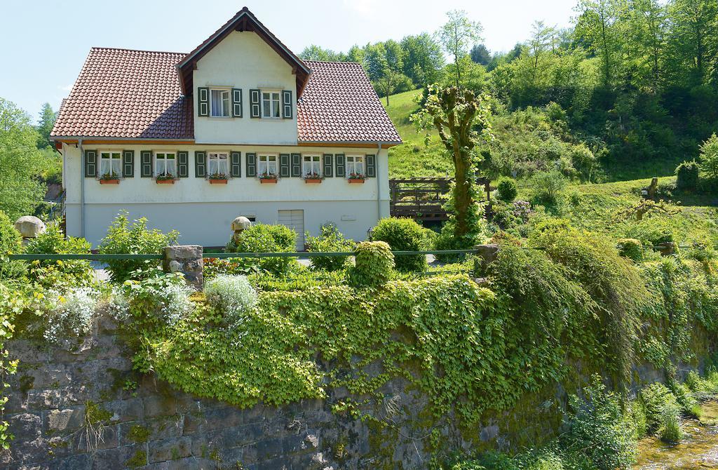 Hotel - Gasthof Blume Oppenau Extérieur photo