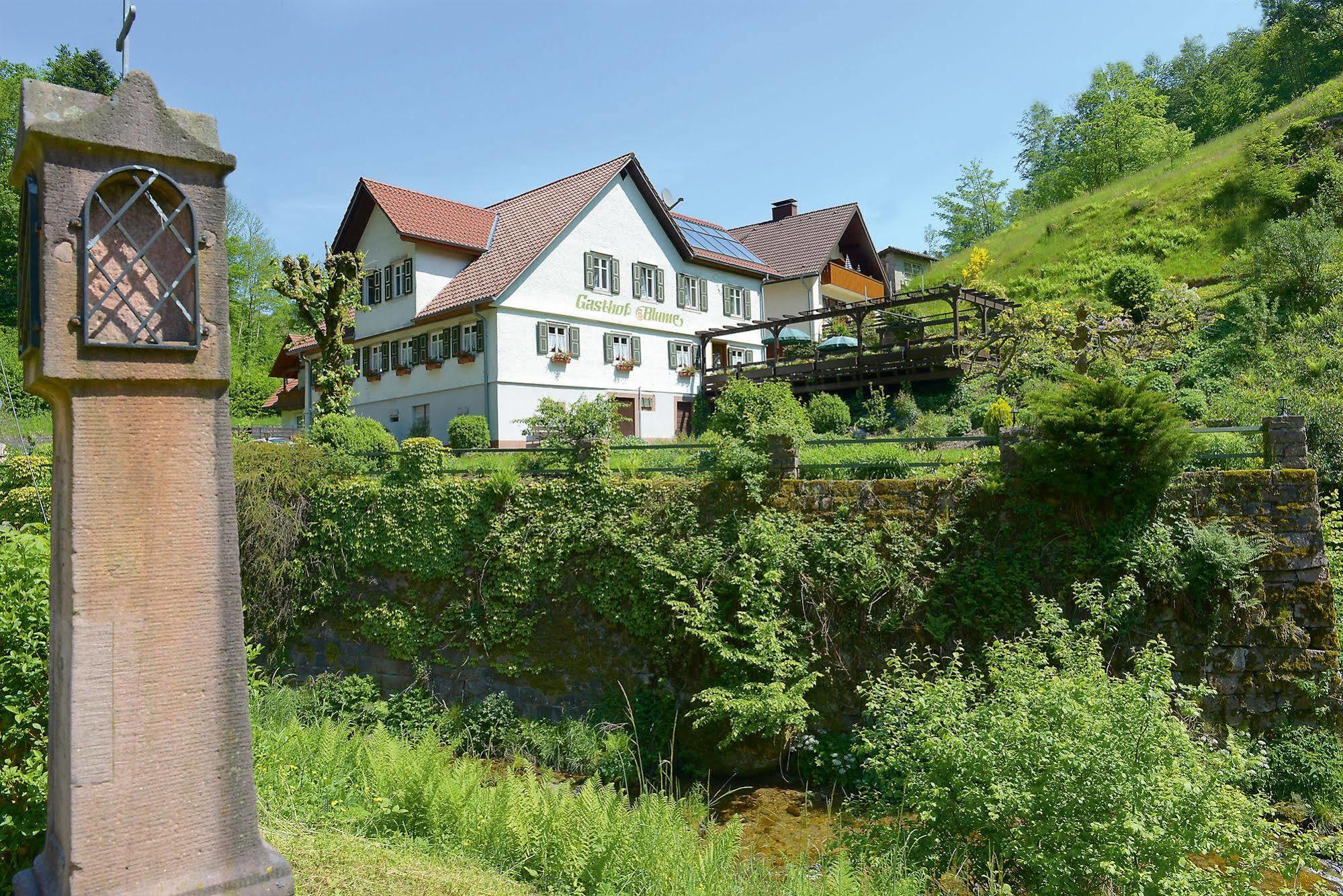 Hotel - Gasthof Blume Oppenau Extérieur photo