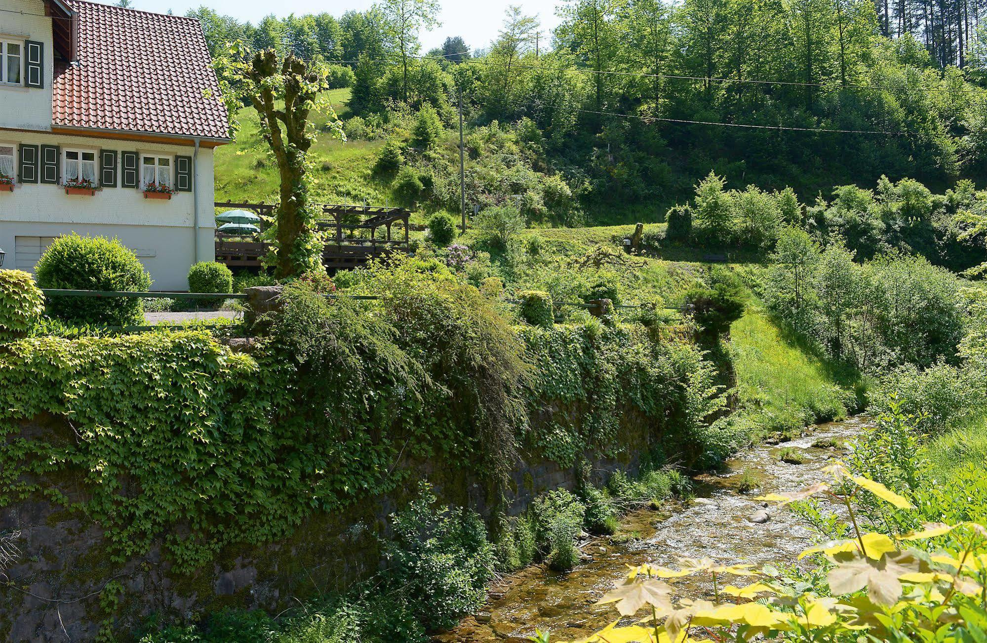 Hotel - Gasthof Blume Oppenau Extérieur photo